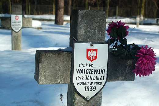 Granica w Puszczy Kampinoskiej - cmentarz wojenny