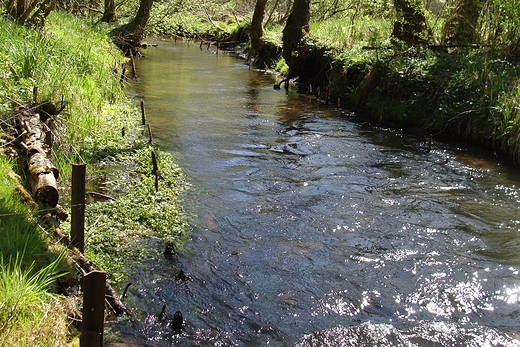 Obszar Natura 2000,Rezerwat Przyrody na rzece Grabowej.