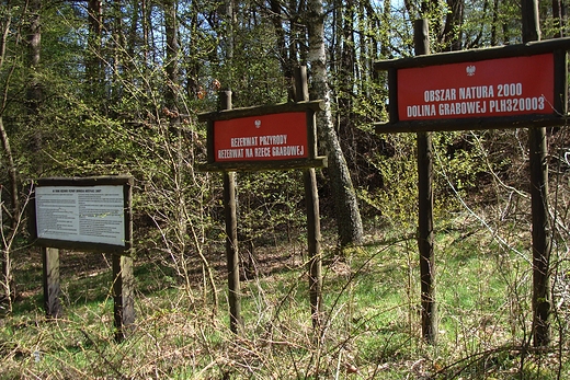 Obszar Natura 2000,Rezerwat Przyrody na rzece Grabowej.