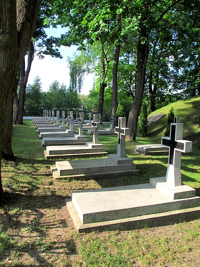 Uporzdkowany cmentarz