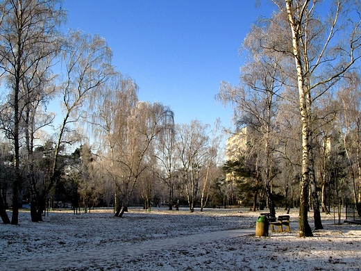 W szronie i niegu