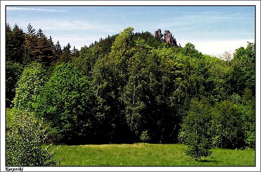 Karpniki - widok na Sokoliki