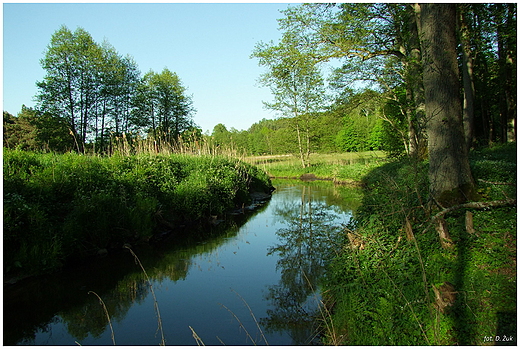 Czerska Struga. Fojutowo