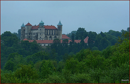 Nowy Wiśnicz - Zamek nad rzeką Leksandrówką