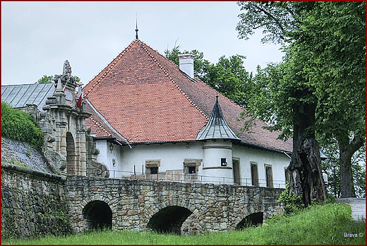 Nowy Winicz - Zamek z II poowy XIV wieku - fragment fosy i bramy wjazdowej