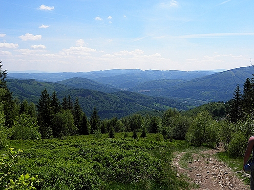 Widok ze szczytu Rwnicy