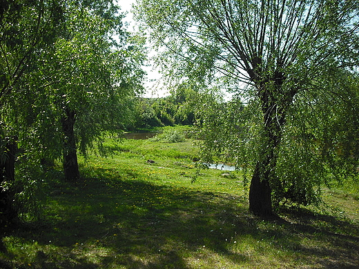 Szczypiorno. Nad Wkr.