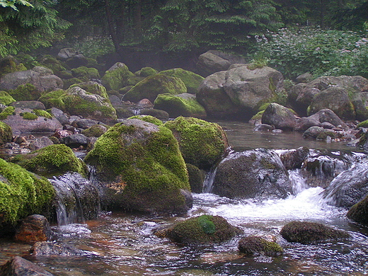 Potok Bystra w Kunicach. Tatry