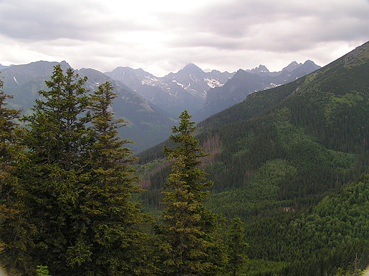 panorama Tatr z Gsiej Szyi