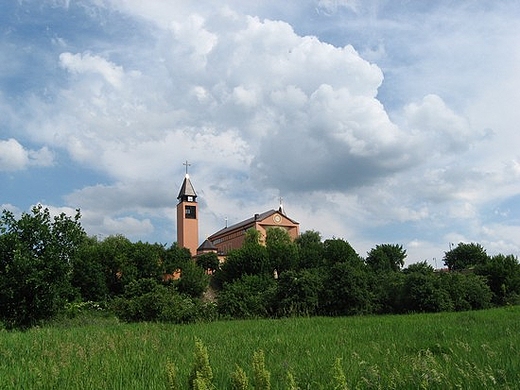 koci w.Wawrzyca - widok od strony Bzury