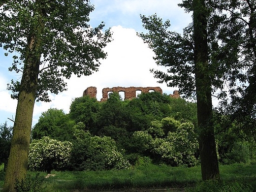 Sochaczew - ruiny zamku Ksit Mazowieckich - widok od strony Bzury