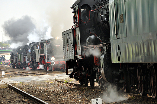 Przejazd poczonych parowozw w dwch grupach. Wolsztyn 2010