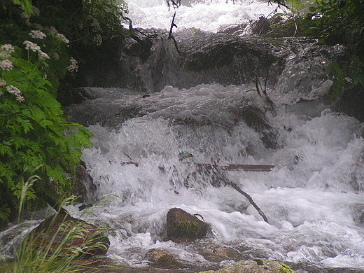 Potok Bystra w Kunicach. Tatry