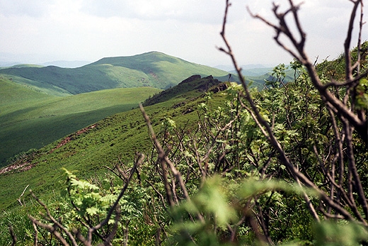 Gniazdo Tarnicy - Halicz (1333 n.p.m.) widziny z grani Krzemienia (1335 n.p.m.). Bieszczady