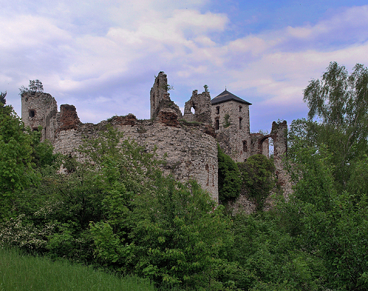 Rudno. Widok na zamek Tenczyn.