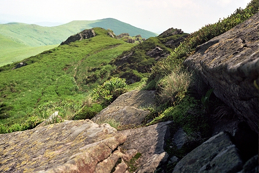 Widok na Halicz (1333 n.p.m.). Na pierwszym planie postrzpiona gra Krzemienia (1335 n.p.m.). Bieszczady