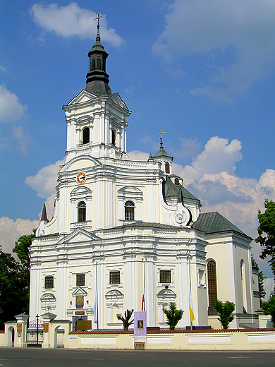 Koci