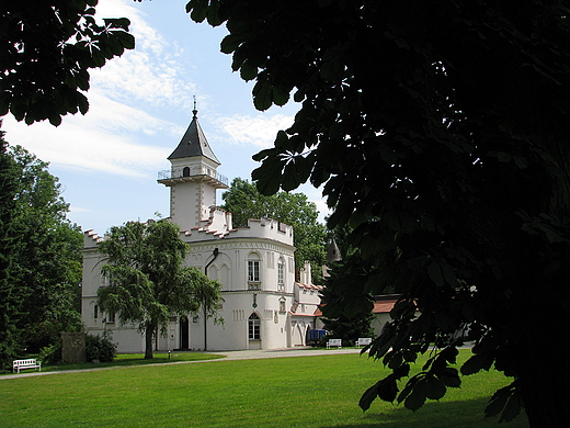 Zesp paacowo-parkowy w Radziejowicach