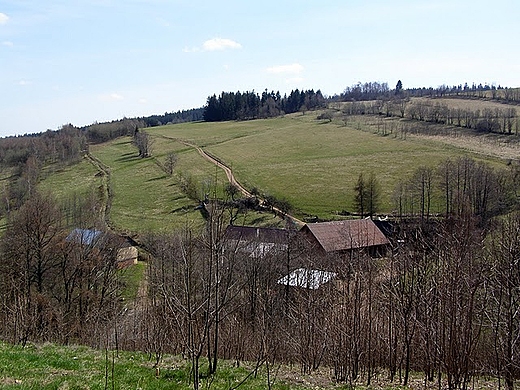 Kamieczyk w Grach Bystrzyckich.