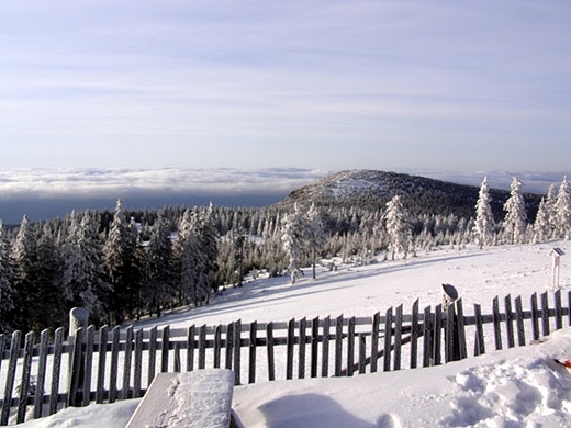 Widok z Hali pod ninikiem na szczyt redniaka (1210 m.)