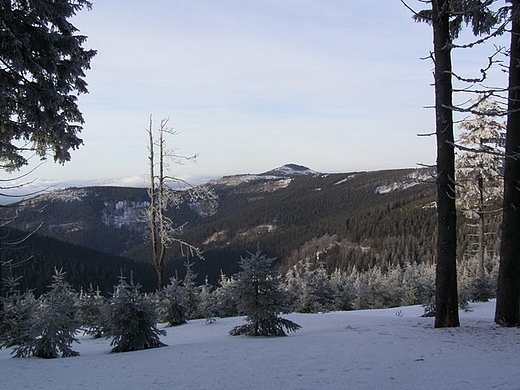 Widok na Czarn Gr (1205 m. ) od poudniowo - zachodniej strony.