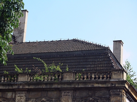 Katowice - moje miasto
