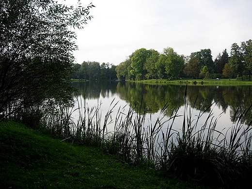 Radziejowice  zesp paacowo-parkowy