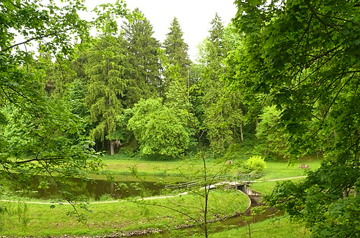 majowa zieleń