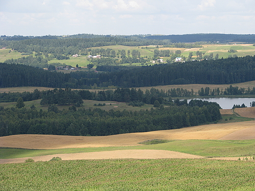 Suwalski Park Krajobrazowy widziany z Gry Cisowej