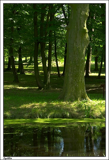 ychlin - Zesp Paacowo - Parkowy Bronikowskich