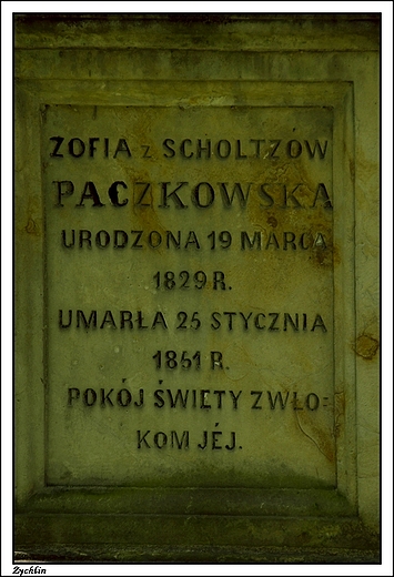 ychlin - cmentarz parafii ewangelicko - reformowanej znajdujacy si za wsi - nagrobek Zofii Paczkowskiej
