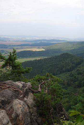 Widok z Pielgrzyma