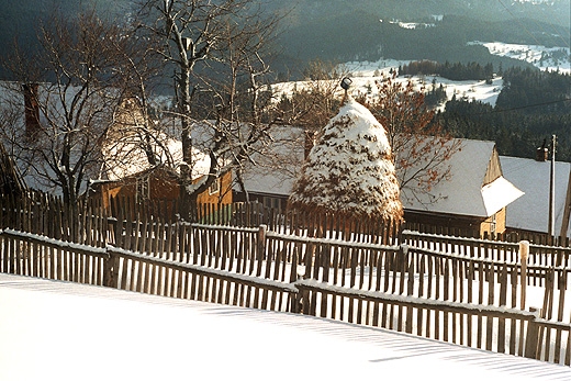 Zapolanka - w drodze na Hal Redykaln. Beskid ywiecki