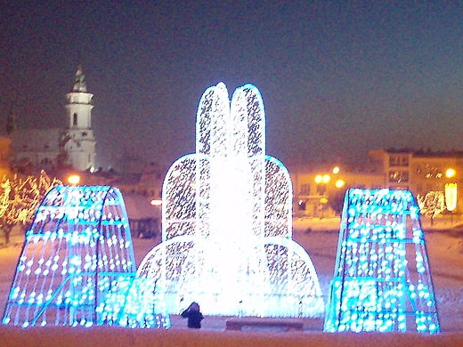 Rynek zim