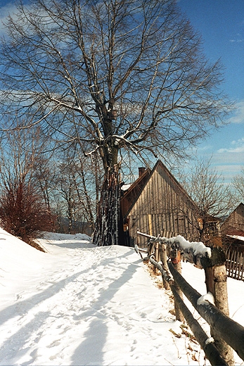 Zapolanka - przysiek na stokach Redykalnego Wierchu (1144 n.p.m.). Beskid ywiecki