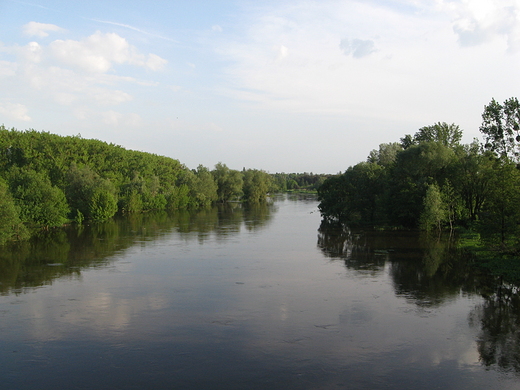 Rzeka Bzura tegorocznej wiosny
