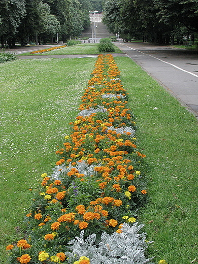 Park Rydza - migego