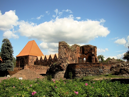 Ruiny zamku krzyackiego w Toruniu