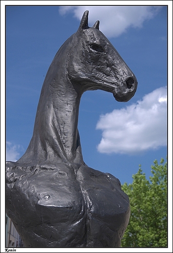 Konin - pomnik konioczłowieka na rynku (Plac Wolności)