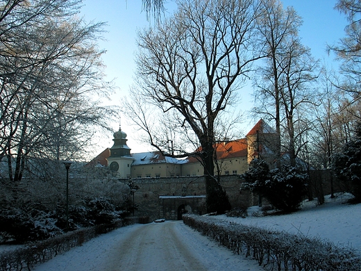 Zamek w Pieskowej Skale