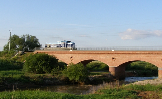 Picioprzsowy most kolejowy (pi mostw) nad Barycz w Miliczu.