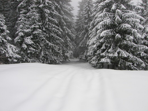 Na szlaku - Beskid ywiecki