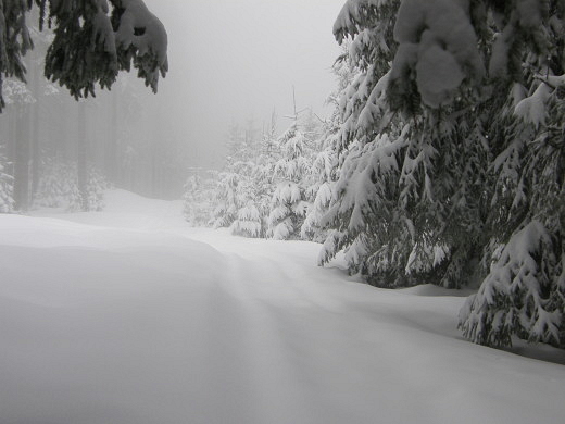 Na szlaku - Beskid ywiecki