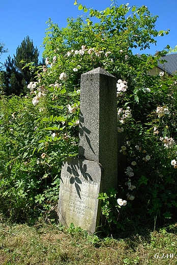 Cmentarz ydowski Skoczw-Wilamowice
