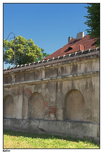 Kalisz - fragment ogrodzenia starej kamienicy na Tycu z pocz.XX wieku (ul.Winiarska)