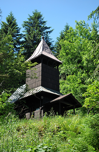 abnica-Skaka. Kociek.