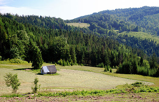 Hala Boracza.