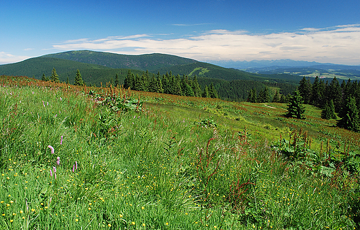 Panorama Beskidu ywieckiego z Hali Lipowskiej.