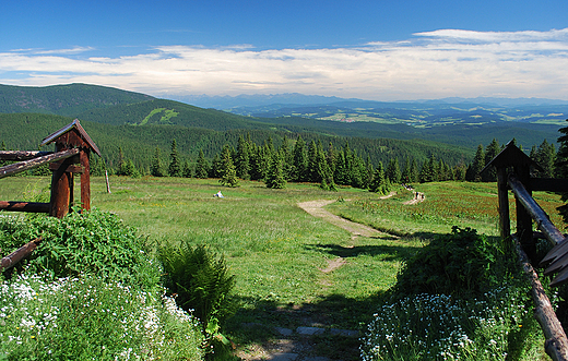 Panorama Tatr sprzed schroniska na Rysiance.