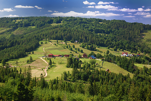 Hala Boracza. Beskid ywiecki